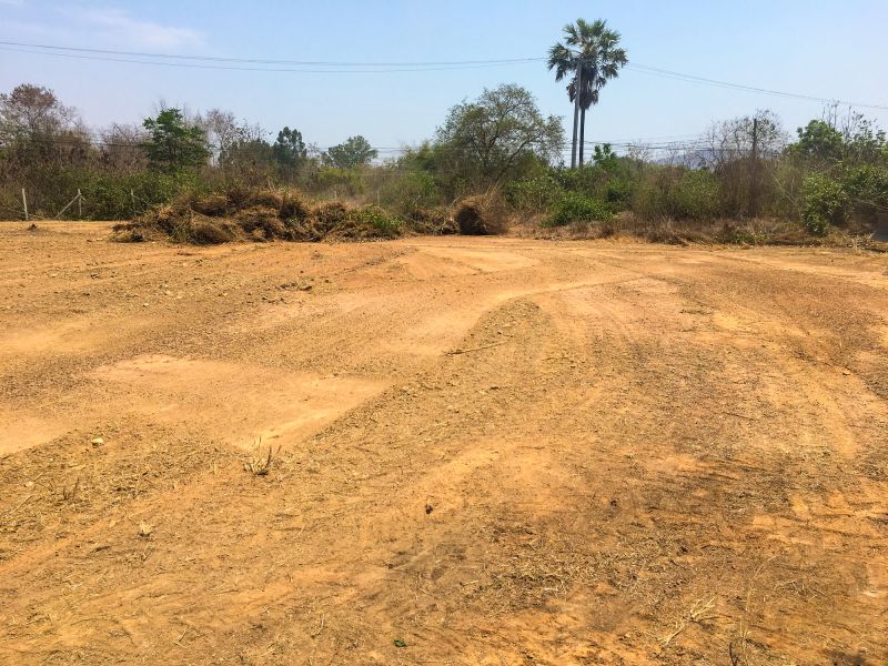 Land Preparation Before Clearing