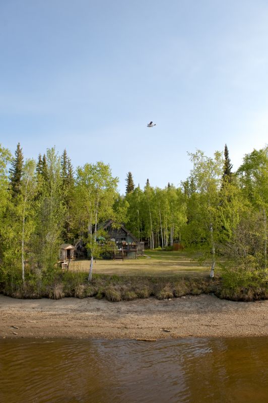 Land Clearing Equipment in Action