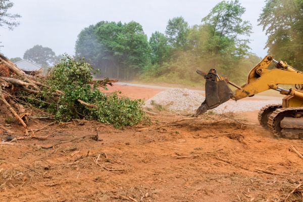 Cost of Ground Clearing in Daphne
