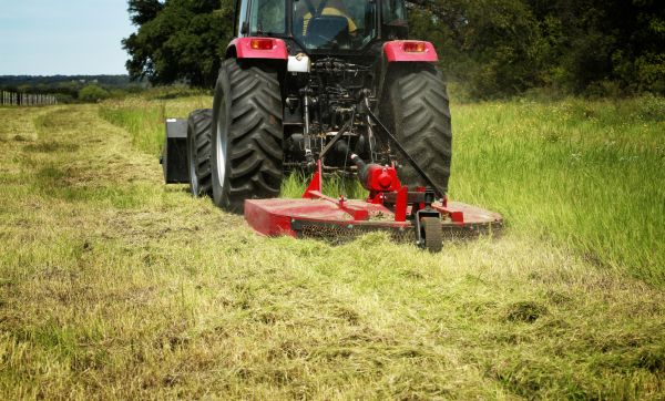 Cost of Brush Clearing Service in Daphne