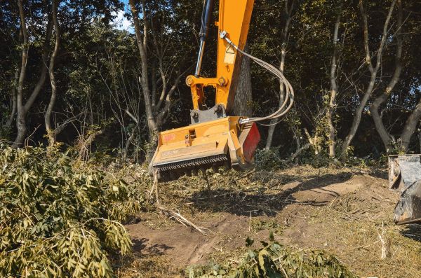 Cost of Brush Removal Service in Daphne