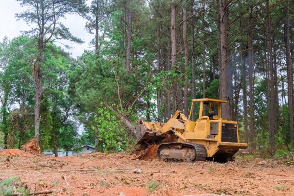 Cost of Property Clearing in Daphne