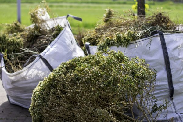 Cost of Bushes Clearing in Daphne