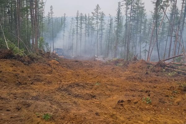 Cost of Hill Clearing in Daphne