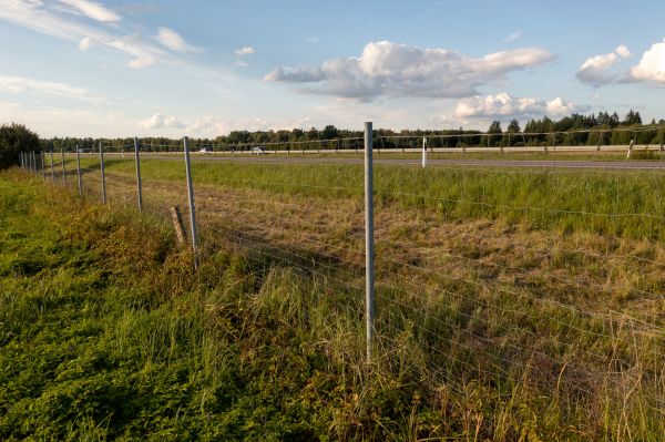Cost of Property Line Clearing in Daphne