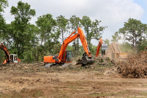 Cost of Commercial Lot Clearing in Daphne