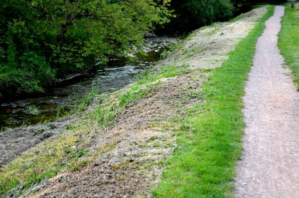 Cost of Trail Cutting in Daphne
